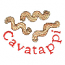 CAVATAPPI