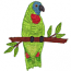 PARROT