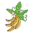BANANAS