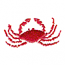 CRAB SMALL