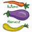 AUTUMN HARVEST