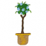 FLORAL TOPIARY