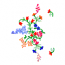 FLORAL DESIGN
