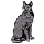 RUSSIAN BLUE