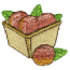 BASKET OF PEACHES