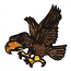 HAWK