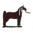 TENNESSEE WALKER
