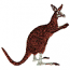 KANGAROO