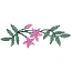 FLORAL BORDER