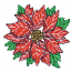 POINSETTIA