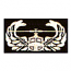 AIR ASSAULT (SEWN ON BLACK)