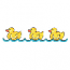 RUBBER DUCKS