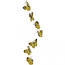 BUTTERFLIES 9