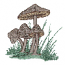 MUSHROOMS