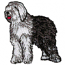 OLD ENGLISH SHEEP DOG