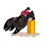 BARREL RACER