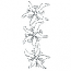 FLORAL OUTLINE