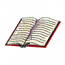 HOLY BIBLE