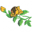 YELLOW ROSES