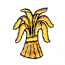 WHEAT STALK FILE #24