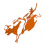 BULL RIDER