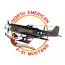 NORTH AMERICAN P-51 MUSTANG