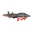 F-14 FIGHTER JET
