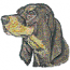 COON HOUND