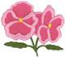 Pansies