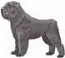 Bouvier Des Flandres