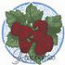 Raspberries