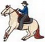 Reining Horse