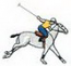 Polo Player