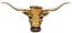 Longhorn