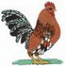 Sm. Bantam Rooster