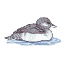 BABY DUCK