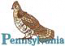 Ruffed Grouse