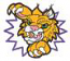 Bobcat