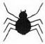 1" Spider