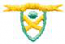 1" Shield Design