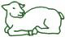 Lamb Outline