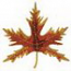 Leaf Leaf