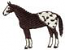 Appaloosa
