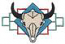 Buffalo Skull
