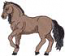 Paso Fino