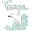 TAMPA DOLPHIN