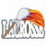 Lacrosse Applique