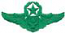 Master Airman Wings
