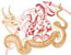 Samurai & Dragon