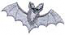 Bat